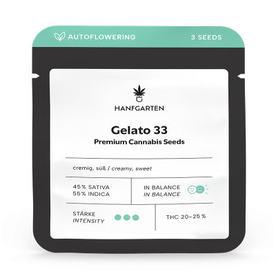 Gelato 33 Cannabissamen