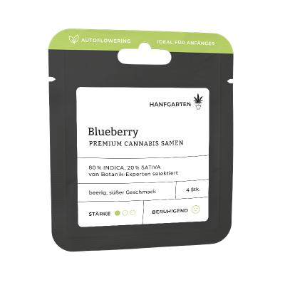 Blueberry | Autoflowering Vorderseite