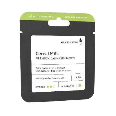 Cereal Milk | Autoflowering Vorderansicht