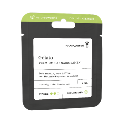 Gelato | Autoflowering Vorderseite