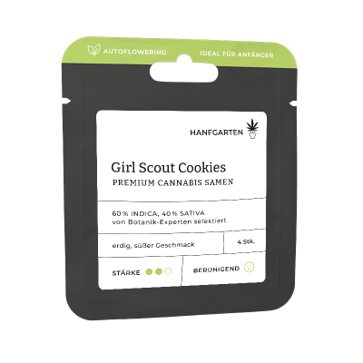 Girl Scout Cookies | Autoflowering Vorderansicht