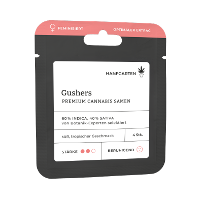 Gushers | Feminisiert Vorderseite