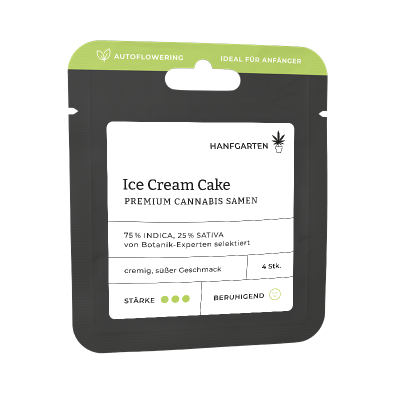 Ice Cream Cake | Autoflowering Vorderansicht