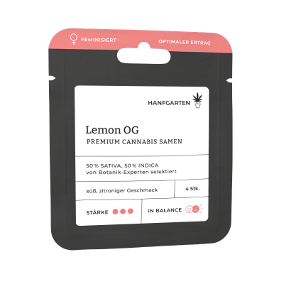 Lemon OG | Feminisiert Vorderseite