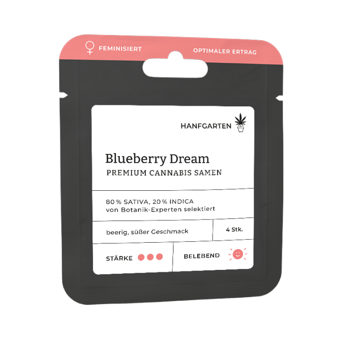 Blueberry Dream | Feminisiert