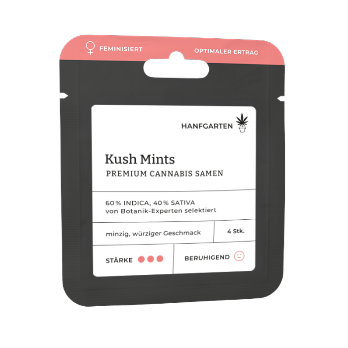 Kush Mints | Feminisiert